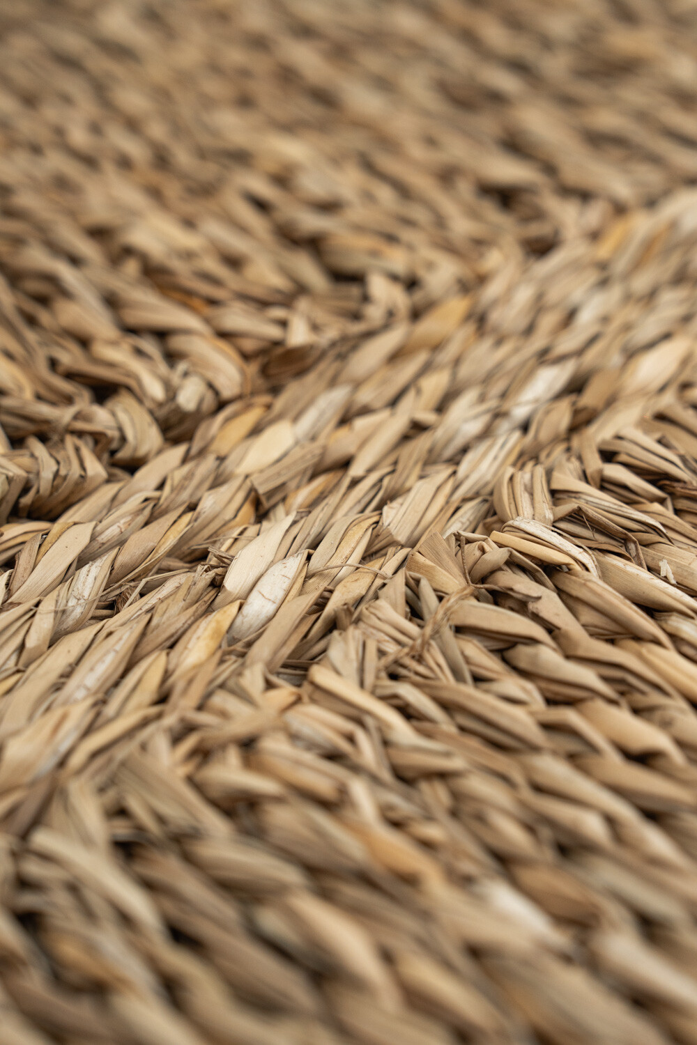 Deco Pared Fujimi Color Unico