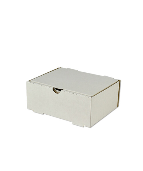 CAJA MICRO 17X22X9 BLANCO