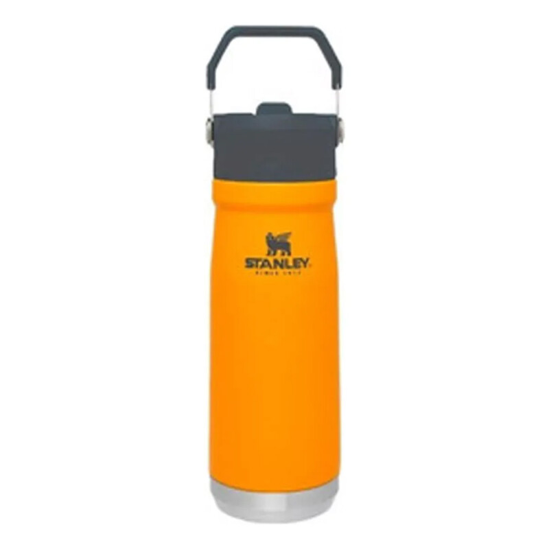 BOTELLA CARAMAÑOLA TERMICA STANLEY 22OZ SAFFRON 10-09991-029 BOTELLA CARAMAÑOLA TERMICA STANLEY 22OZ SAFFRON 10-09991-029