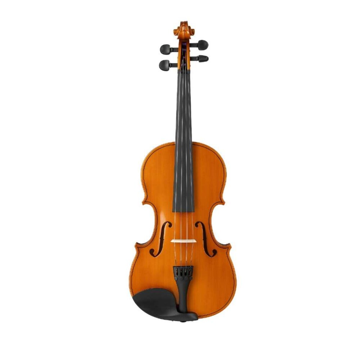 Viola Valencia Va100 15 - C/ Estuche Y Arco 