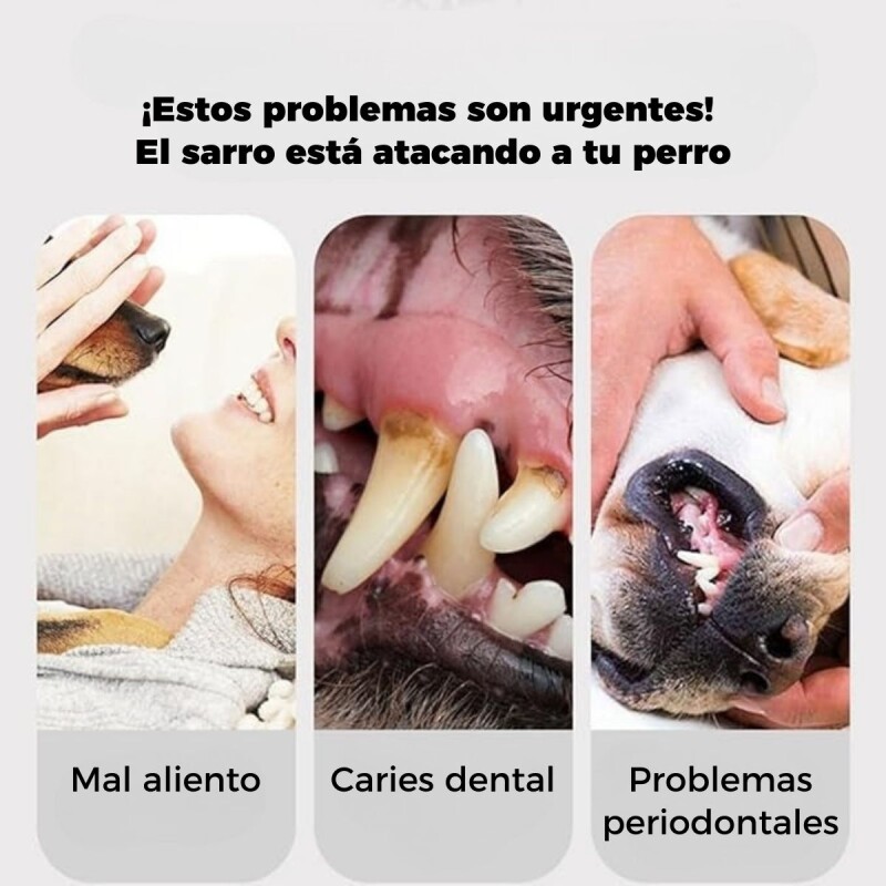 KIT DE LIMPIEZA DENTAL PARA PERROS KIT DE LIMPIEZA DENTAL PARA PERROS