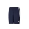 SHORT TEAM LIGA - PUMA