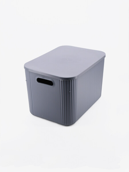 CAJA ORGANIZADORA CON TAPA GRIS
