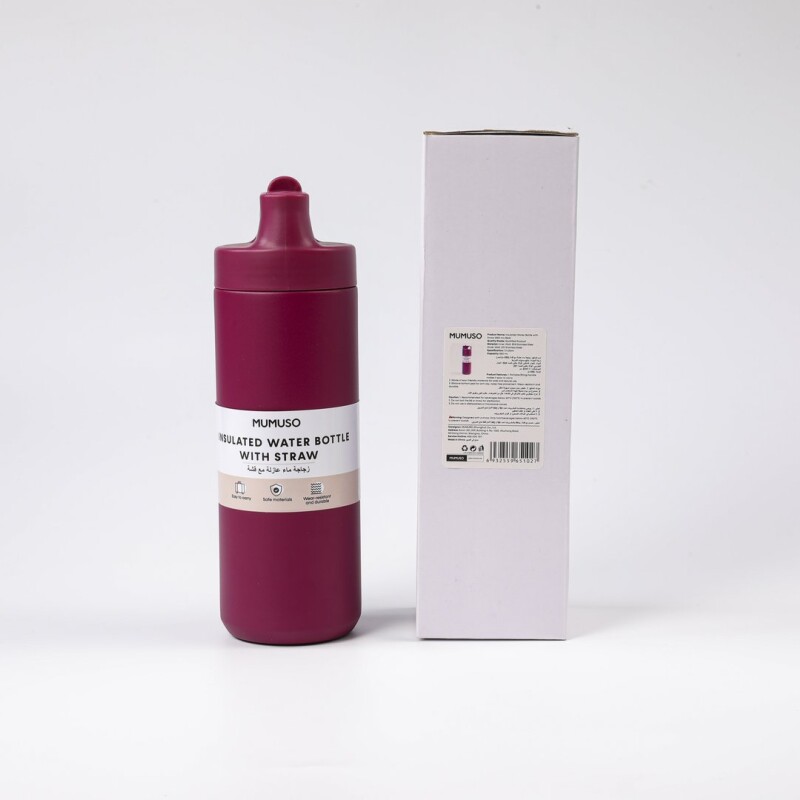 BOTELLA TÉRMICA CON SORBETE (550 ML / ROJO) BOTELLA TÉRMICA CON SORBETE (550 ML / ROJO)
