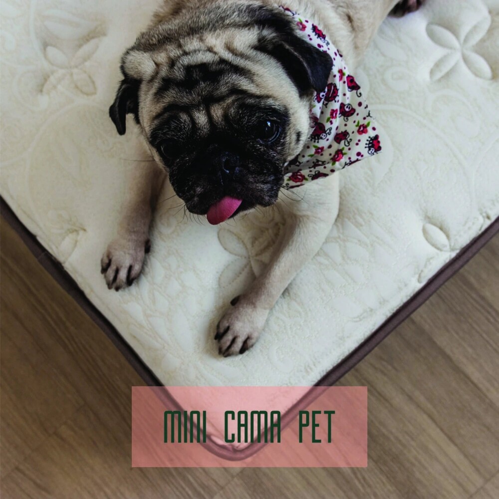 Cama Mascota - Gris Cama Mascota - Gris