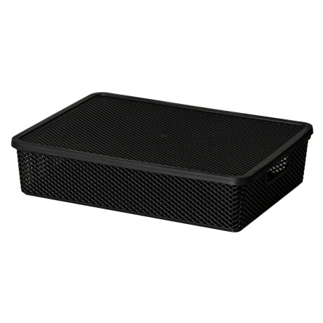 Caja Canasto Organizador con Tapa Línea Paramount 36x26x8Cm Negro