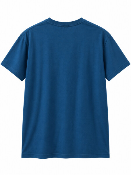 REMERA TIZA VARIANTE 2