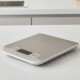 Balanza digital de cocina en acero inoxidable GRIS