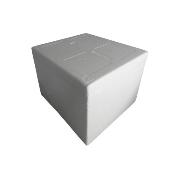 HELADERA ESPUMA 47X40X42.5 - 42 LTS. BLANCO