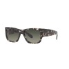 Ray Ban Rb2187 Nomad 1333/71