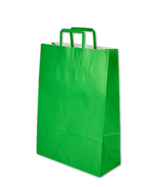Bolsa lisa acuario 30x12x41 cm VERDE