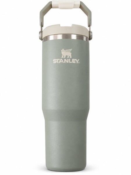 Botella FLIP STRAW TUMBLER Gris