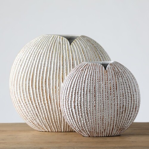 Avellana Pequeña Avellana Pequeña