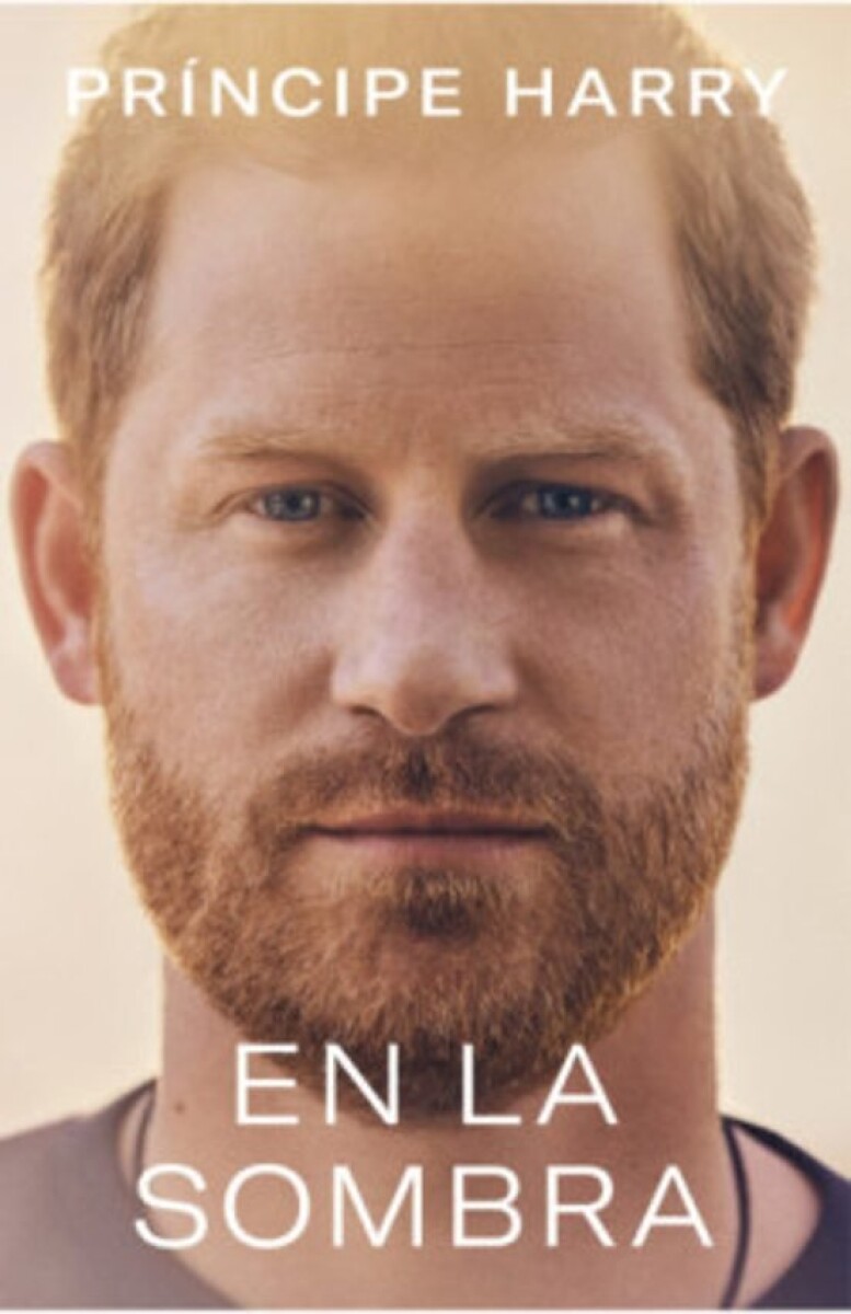 EN LA SOMBRA 