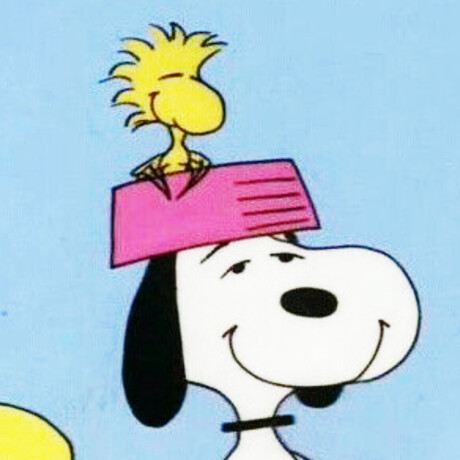 Snoopy con Woodstock - Peanuts (Flocked) - 2096 Snoopy con Woodstock - Peanuts (Flocked) - 2096
