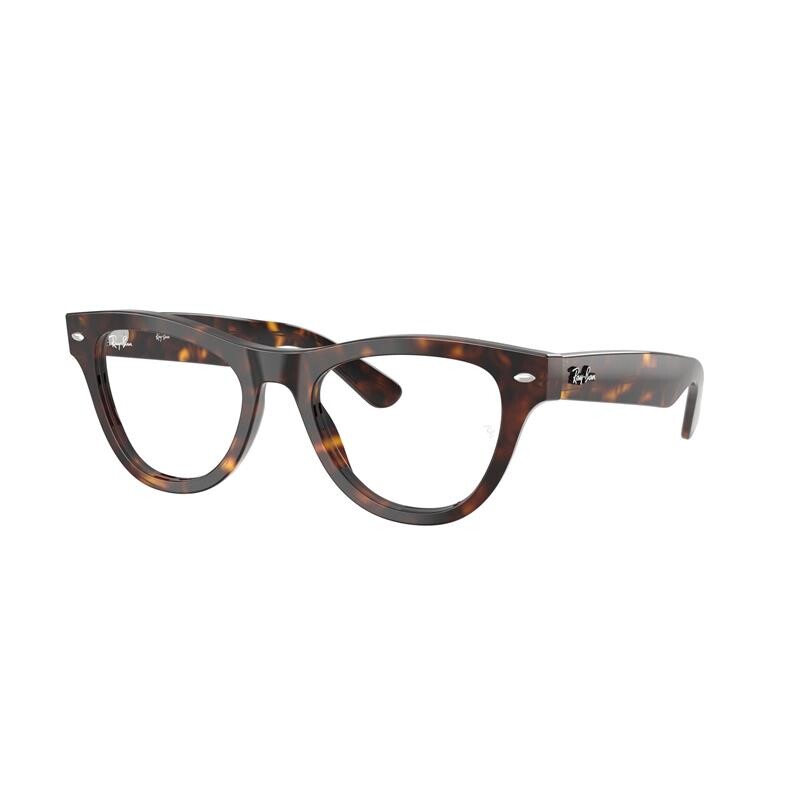Ray Ban Rb5510 2012