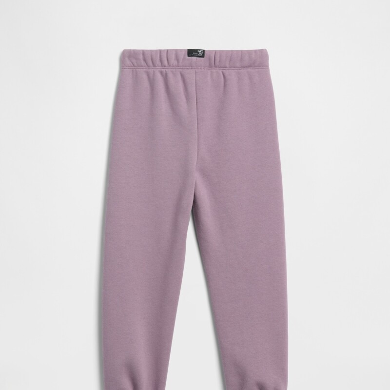 V-DISLOGO JGR SP DIS FAM AMETHYST2