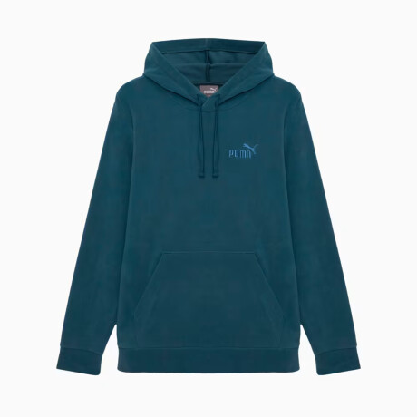 ESS ELEVATED Polarf.Hoodie 68189225 Gris