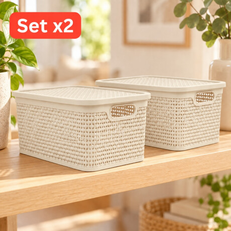 Set x2 Caja simil ratán 7,5 lts BEIGE