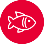 Pescados