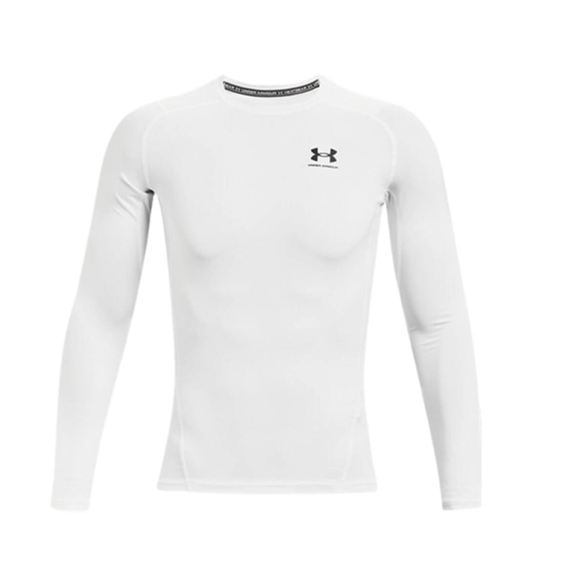 BUZO UNDER ARMOUR COMPS LS 
