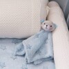 Apego OSO buba celeste