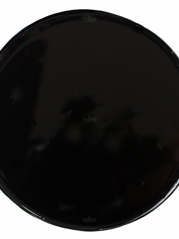 PINTOR ESMALTE BRILLANTE NEGRO CON CONVERTIDOR - 0.9LT N/A