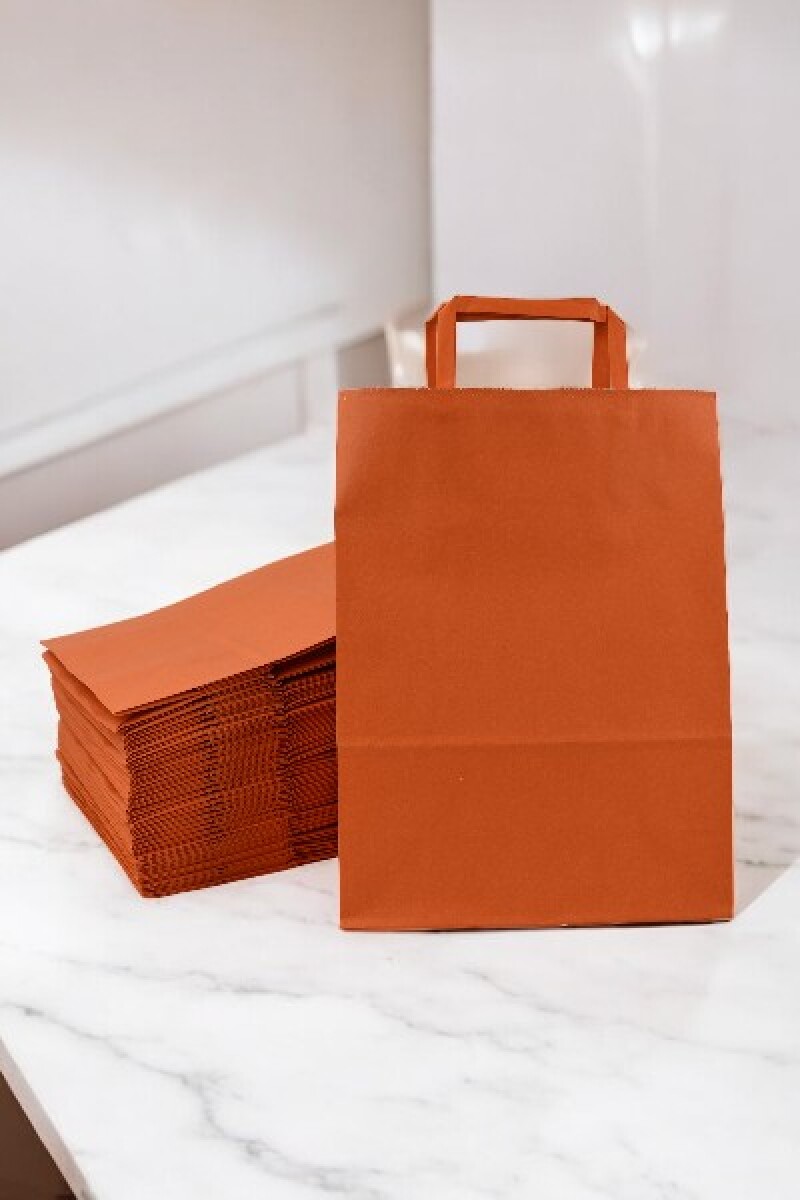 Pack x 50 - bolsa lisa 22x10x30 cm. - NARANJA 