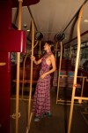 Scottish Dress Bordeaux / Azul