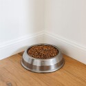 PLATO MASCOTA ARQPLAST 32X10CM PLATO MASCOTA ARQPLAST 32X10CM