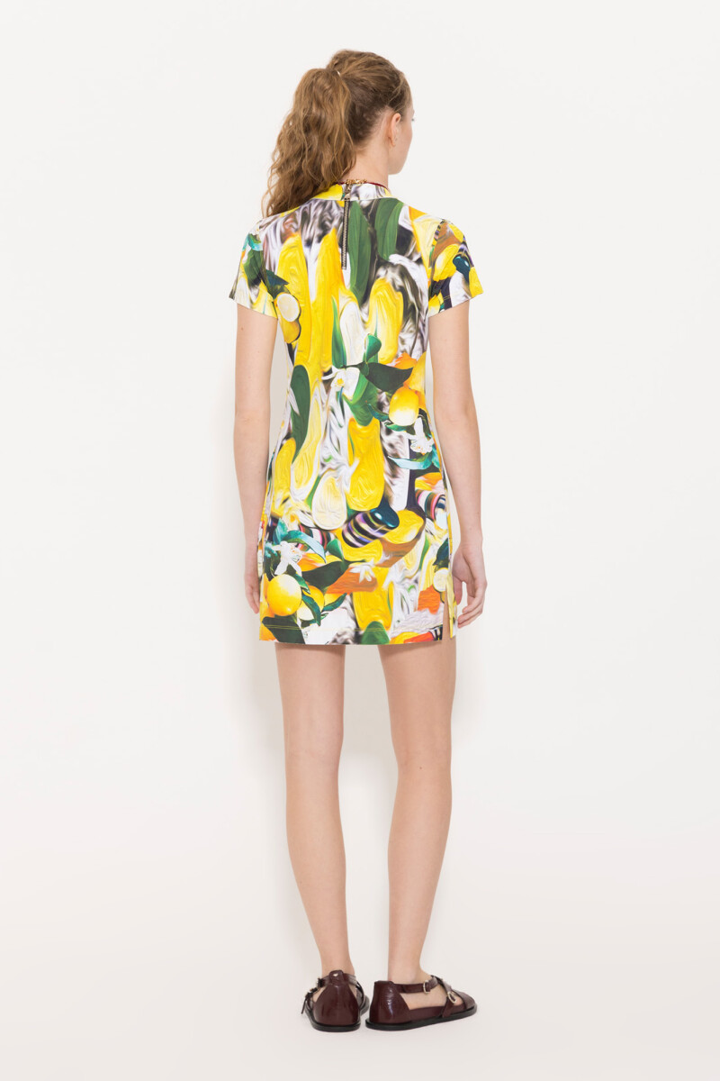VESTIDO LEMON Multicolor