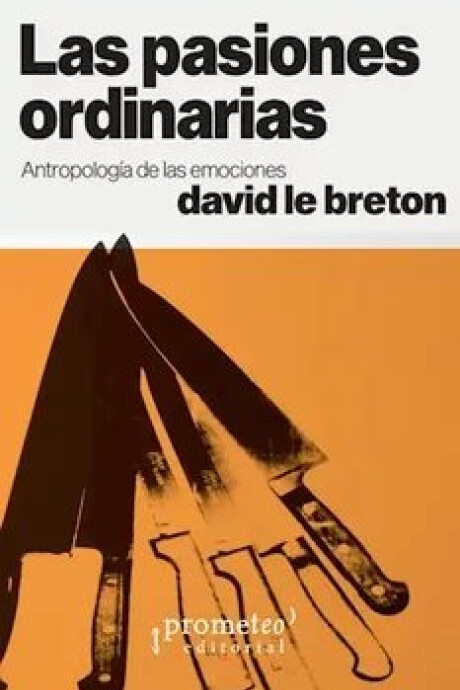 LAS PASIONES ORDINARIAS LAS PASIONES ORDINARIAS