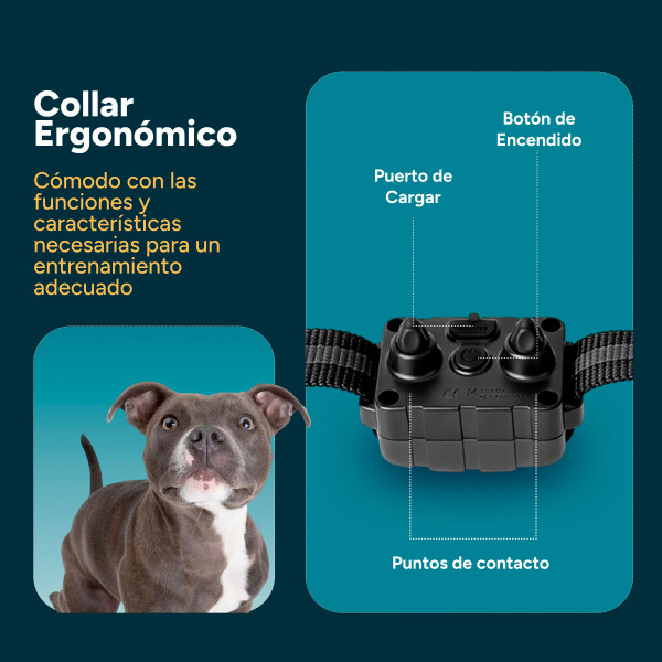 Collar Antiladridos Control Remoto Sumergible Entrenamiento Variante Color Negro