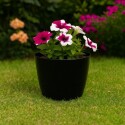MACETA REDONDA 27 CM UMBRA NEGRO NEGRO