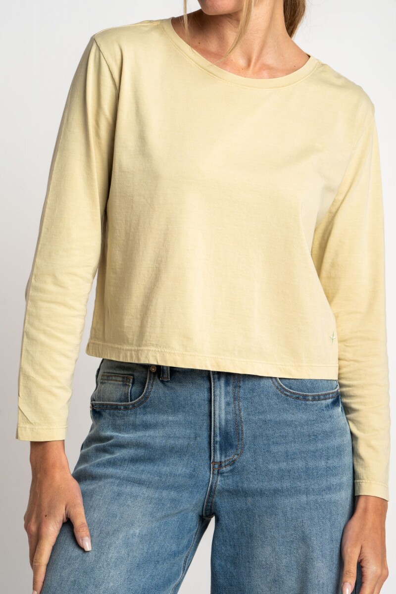 Remera Manga Larga Lavada Pistacho