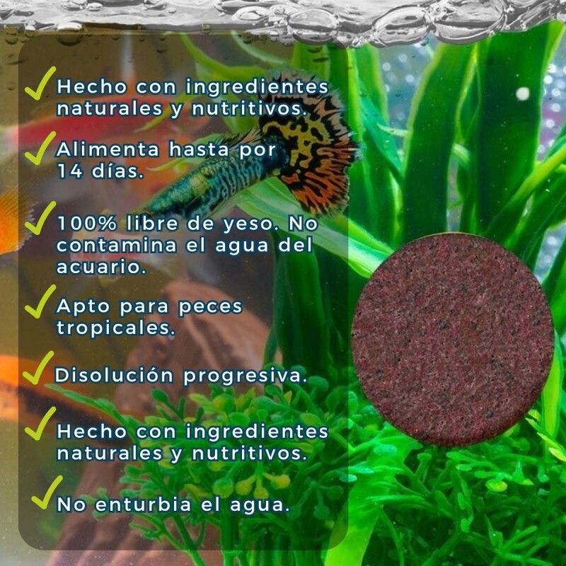 ALIMENTO VACACIONAL BLOQUE TETRA PARA PECES TROPICALES ALIMENTO VACACIONAL BLOQUE TETRA PARA PECES TROPICALES