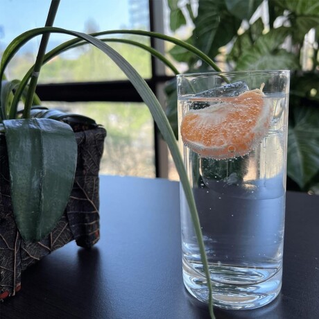 Vaso Alto de Agua en Vidrio con Fondo Grueso Crisa 310Ml Transparente