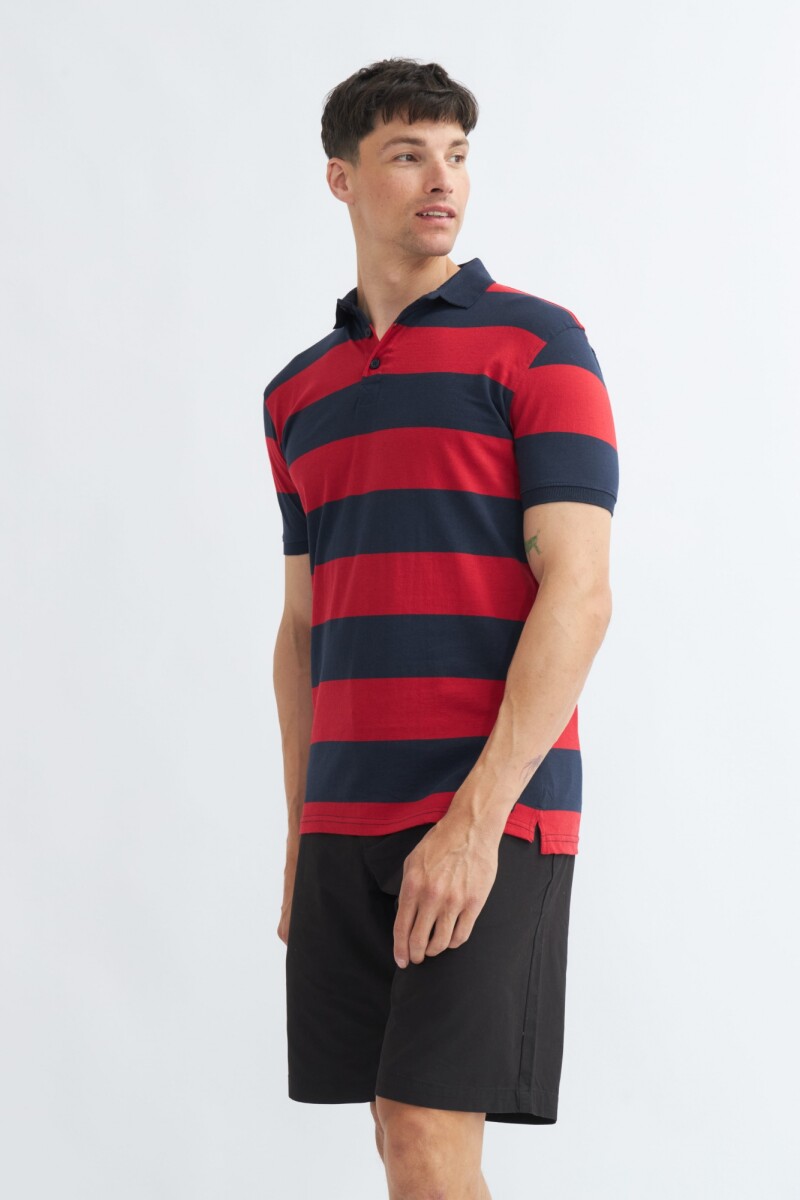 Remera cuello polo a rayas - Rojo 