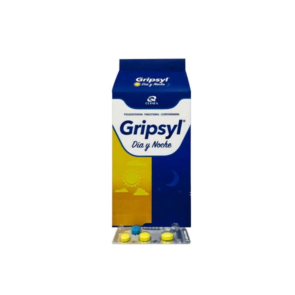 GRIPSYL DIA Y NOCHE NP (100 COMP. REC) E
