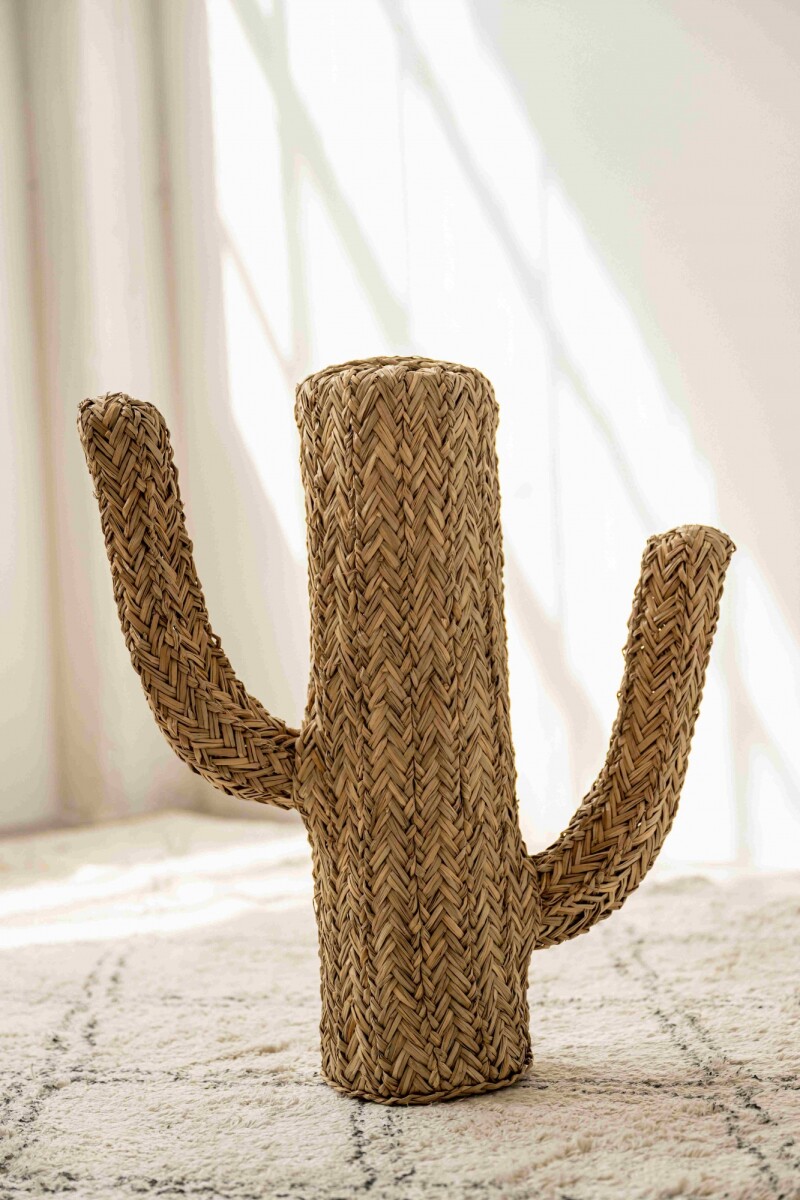 Cactus L - Laverne Cactus L - Laverne