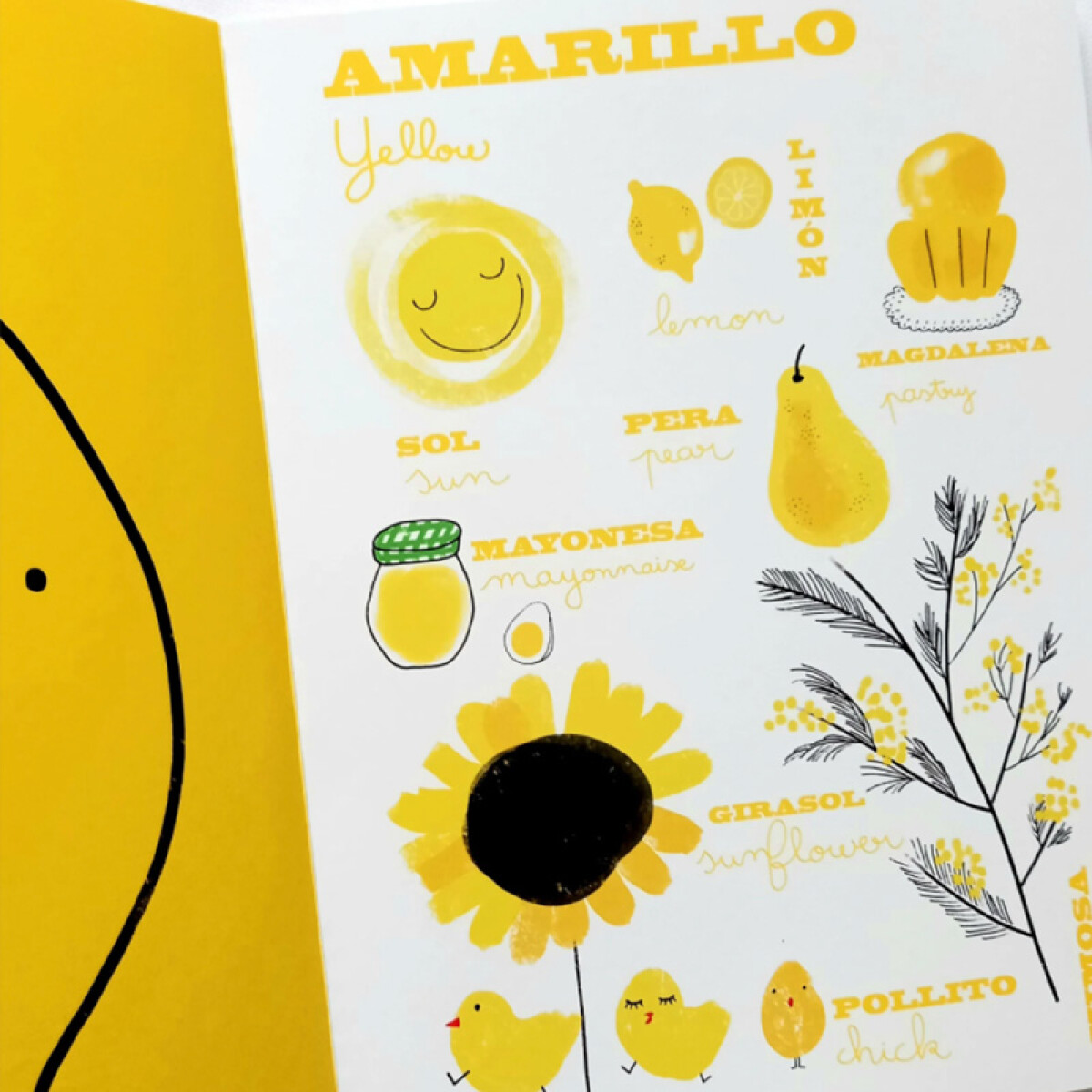 Los colores del señor bear 