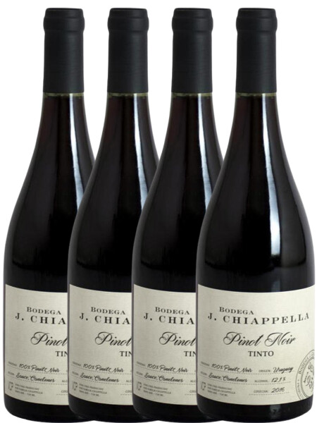 Pack 4x3 Pinot Noir J. Chiappella Pack 4x3 Pinot Noir J. Chiappella