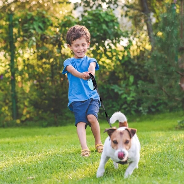 Correa Retractil Extensible 5 Mts Cinta Perro Mediano 15kg Variante Color Celeste