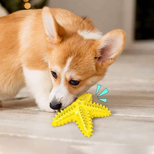 Juguete Perro Dental Morder Higiene Estrella Marina Flotante Color Variante Amarillo