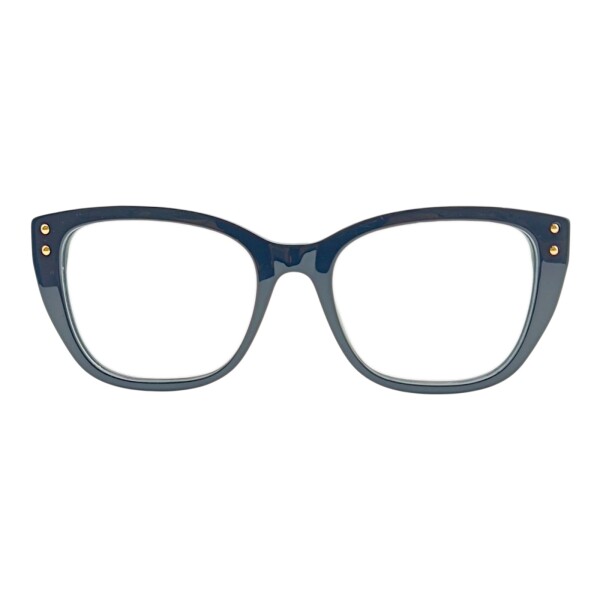 CH019120 negrouniforme