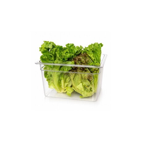 Cuba de Policarbonato GN 1/2 20 cm Cuba de Policarbonato GN 1/2 20 cm