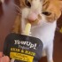 YOWUP YOGURT PARA GATOS 85 GRAMOS SKIN HAIR SABOR SALMON