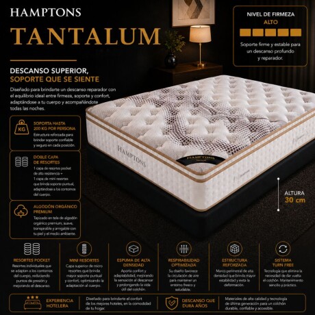 Colchon de resortes 2 Plazas Hamptons Tantalum Colchon de resortes 2 Plazas Hamptons Tantalum