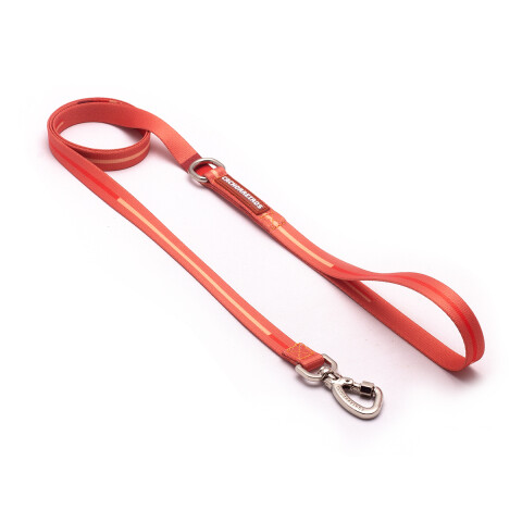 Correa Cachorreiros Coral Talle S-P