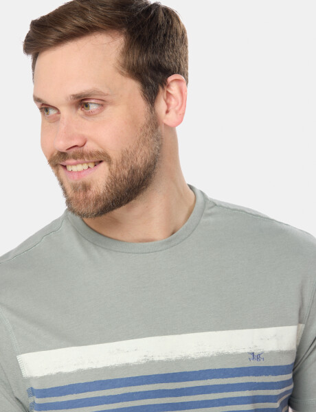 REMERA RAYADA Pistacho